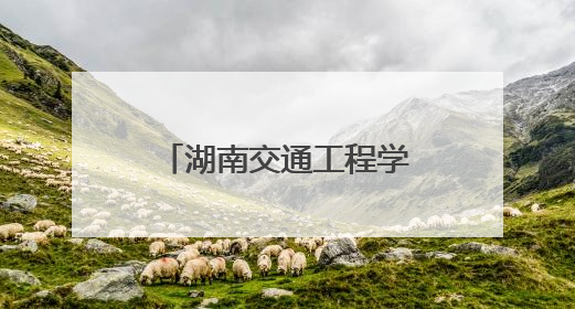 湖南交通工程学院学子“三下乡”用科技与爱心照亮乡村课堂