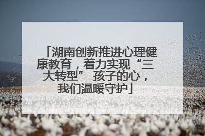 湖南创新推进心理健康教育，着力实现“三大转型” 孩子的心，我们温暖守护