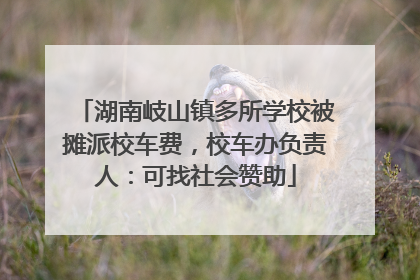 湖南岐山镇多所学校被摊派校车费，校车办负责人：可找社会赞助