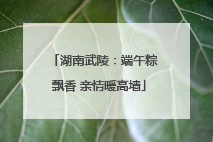 湖南武陵：端午粽飘香 亲情暖高墙