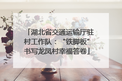 湖北省交通运输厅驻村工作队：“铁脚板”书写龙凤村幸福答卷