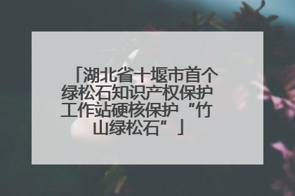 湖北省十堰市首个绿松石知识产权保护工作站硬核保护“竹山绿松石”
