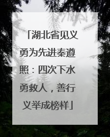 湖北省见义勇为先进秦遵照：四次下水勇救人，善行义举成榜样