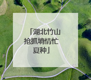 湖北竹山抢抓墒情忙夏种