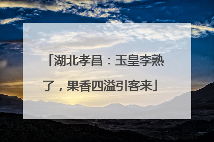 湖北孝昌：玉皇李熟了，果香四溢引客来