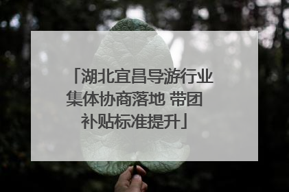 湖北宜昌导游行业集体协商落地 带团补贴标准提升