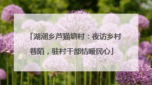 湖潮乡芦猫塘村：夜访乡村巷陌，驻村干部情暖民心