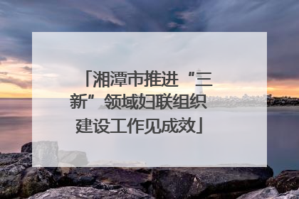 湘潭市推进“三新”领域妇联组织建设工作见成效