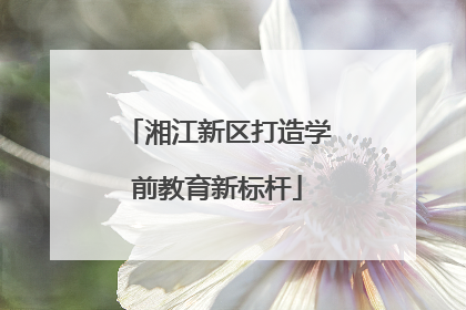 湘江新区打造学前教育新标杆