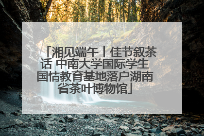 湘见端午丨佳节叙茶话 中南大学国际学生国情教育基地落户湖南省茶叶博物馆