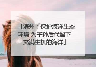 滨州：保护海洋生态环境 为子孙后代留下充满生机的海洋