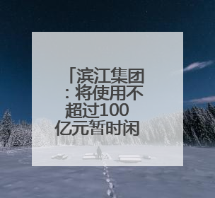 滨江集团：将使用不超过100亿元暂时闲置自有资金委托理财