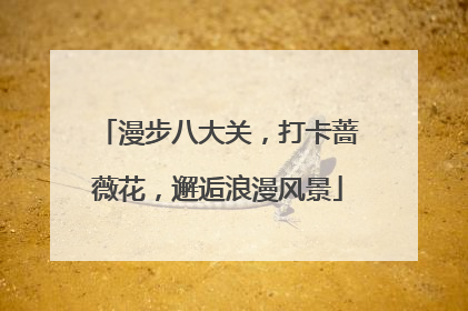 漫步八大关，打卡蔷薇花，邂逅浪漫风景