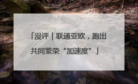漫评｜联通亚欧，跑出共同繁荣“加速度”