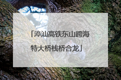 漳汕高铁东山跨海特大桥栈桥合龙