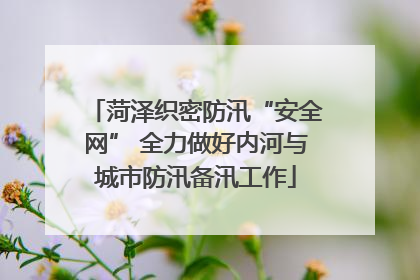 菏泽织密防汛“安全网” 全力做好内河与城市防汛备汛工作