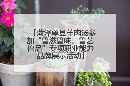 菏泽单县羊肉汤参加“鲁滋鲁味、鲁艺鲁品”专项职业能力品牌展示活动
