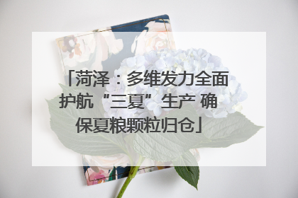 菏泽：多维发力全面护航“三夏”生产 确保夏粮颗粒归仓