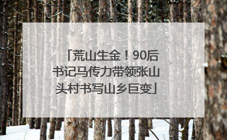 荒山生金！90后书记马传力带领张山头村书写山乡巨变