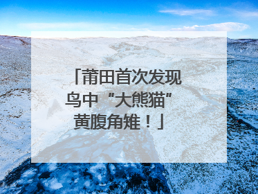 莆田首次发现鸟中“大熊猫”黄腹角雉！