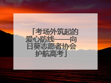考场外筑起的爱心防线——向日葵志愿者协会护航高考