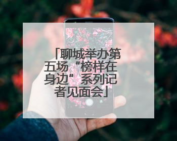 聊城举办第五场“榜样在身边”系列记者见面会