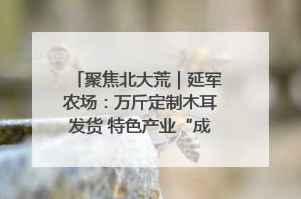 聚焦北大荒｜延军农场：万斤定制木耳发货 特色产业“成绩单”亮眼