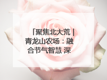聚焦北大荒｜青龙山农场：融合节气智慧 深耕安全沃土