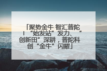 聚势金牛 智汇普陀〡“始发站”发力、“创新田”深耕，普陀科创“金牛”闪耀