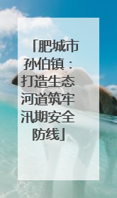 肥城市孙伯镇：打造生态河道筑牢汛期安全防线