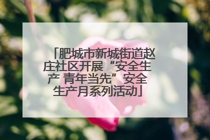 肥城市新城街道赵庄社区开展“安全生产 青年当先”安全生产月系列活动