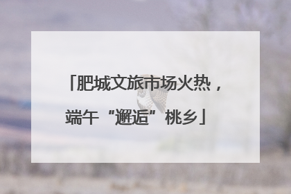 肥城文旅市场火热，端午“邂逅”桃乡