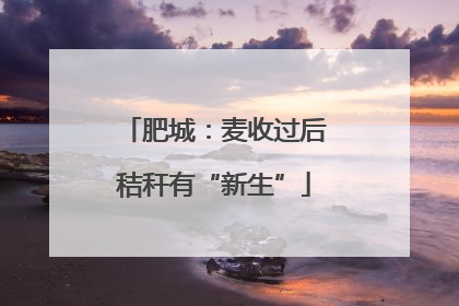 肥城：麦收过后秸秆有“新生”