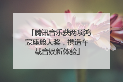 腾讯音乐获两项鸿蒙座舱大奖，携造车载音娱新体验