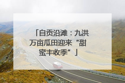 自贡沿滩：九洪万亩瓜田迎来“甜蜜丰收季”