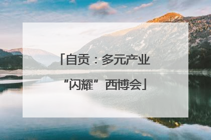 自贡：多元产业“闪耀”西博会