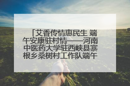 艾香传情惠民生 端午安康驻村情——河南中医药大学驻西峡县寨根乡桑树村工作队端午中医惠民记