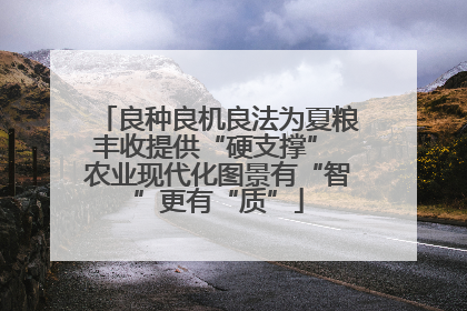 良种良机良法为夏粮丰收提供“硬支撑” 农业现代化图景有“智”更有“质”