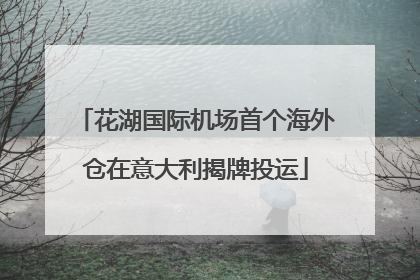 花湖国际机场首个海外仓在意大利揭牌投运