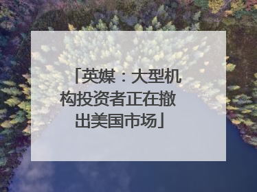 英媒：大型机构投资者正在撤出美国市场