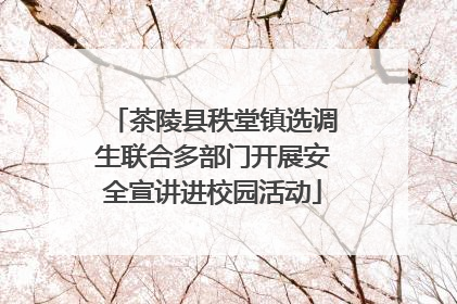 茶陵县秩堂镇选调生联合多部门开展安全宣讲进校园活动
