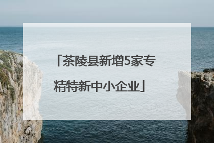 茶陵县新增5家专精特新中小企业