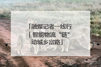 融媒记者一线行｜智能物流“链”动城乡富路