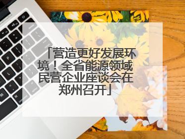 营造更好发展环境！全省能源领域民营企业座谈会在郑州召开