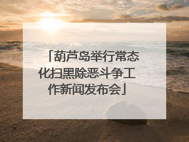 葫芦岛举行常态化扫黑除恶斗争工作新闻发布会