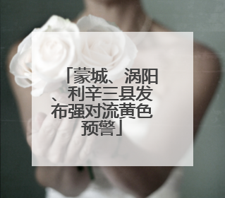 蒙城、涡阳、利辛三县发布强对流黄色预警