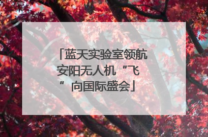 蓝天实验室领航 安阳无人机“飞”向国际盛会