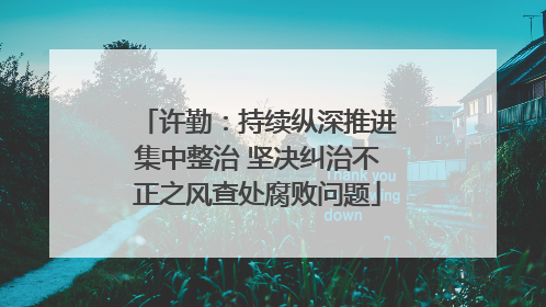 许勤：持续纵深推进集中整治 坚决纠治不正之风查处腐败问题