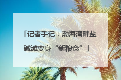 记者手记：渤海湾畔盐碱滩变身“新粮仓”