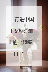 行进中国丨戈壁荒滩上的“超级工厂”